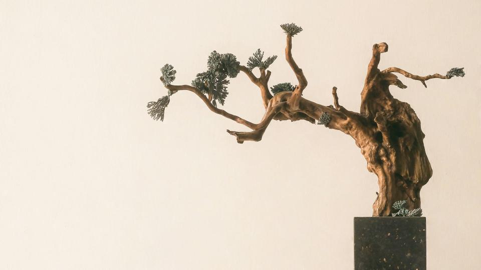bonsai 0.1.0