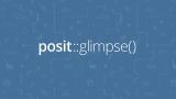 A blue background with a repeating pattern of white line drawings of various data-related icons, such as graphs, code symbols, and animals. Centered on the image is the white text 'posit::glimpse()'.