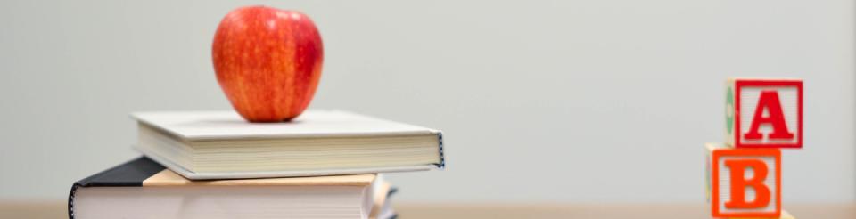 Building capacities to teach data science in Latin America