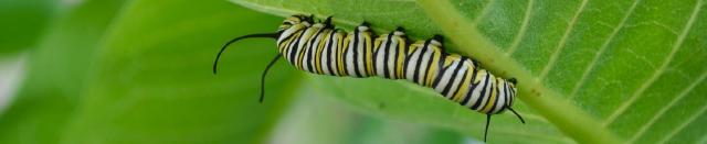 Tidymodels Internship