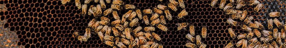 What it Was Like Interning for RStudio