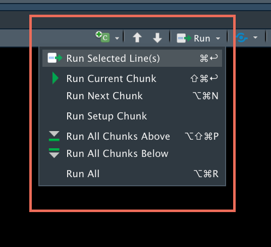 Run dropdown menu with various options for running code chunks.
