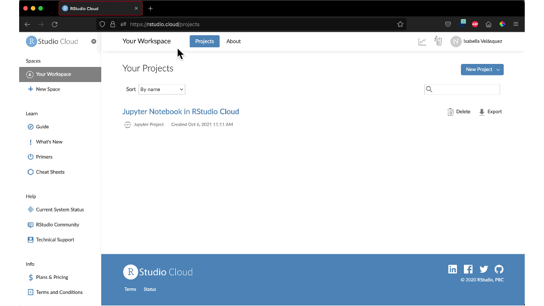 Running a Python script in the RStudio IDE