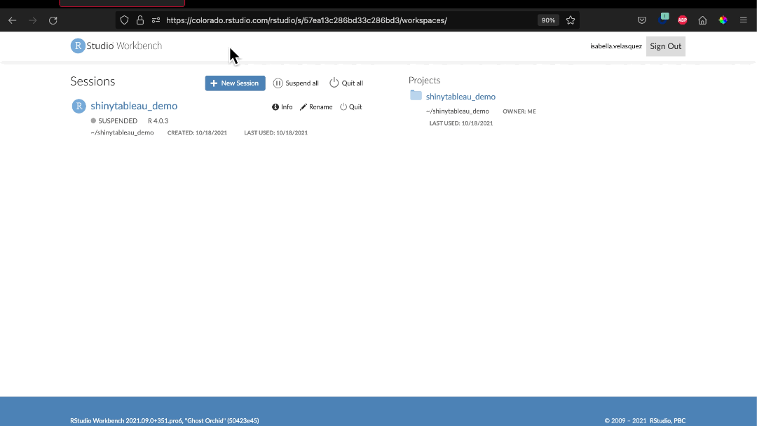 Running a Python script in the RStudio IDE