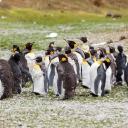 Contributing code to the tidyverse