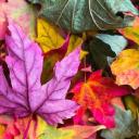 tidymodels package updates