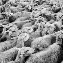 Multi Process Task Queue in 100 Lines of R Code