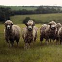 It depends - A dialog about dependencies