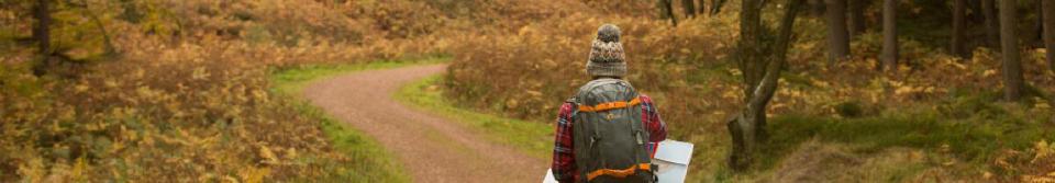 Choose your own tidymodels adventure