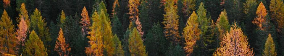 Survival Analysis in tidymodels