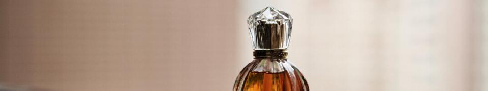 Announcing vetiver for MLOps in R and Python