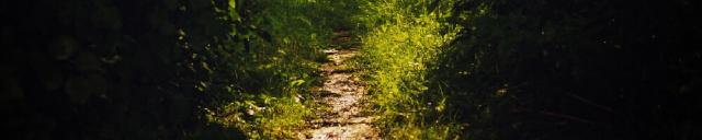 Solutions for R4DS, 2e with Data Trail