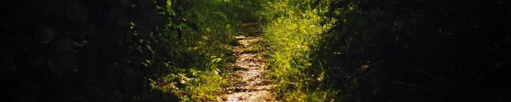 Solutions for R4DS, 2e with Data Trail