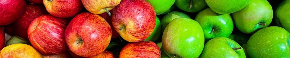 Teaching the tidyverse in 2023