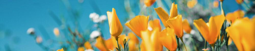 Q1 2024 tidymodels digest