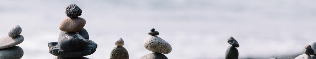 Fair machine learning with tidymodels