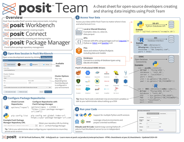 Posit Team