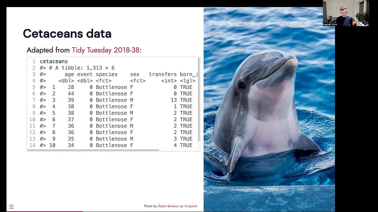 Hannah Frick - "Censored: A tidymodels package for survival models"