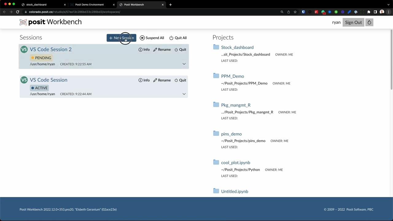Running multiple R & Python sessions at once on Posit Workbench
