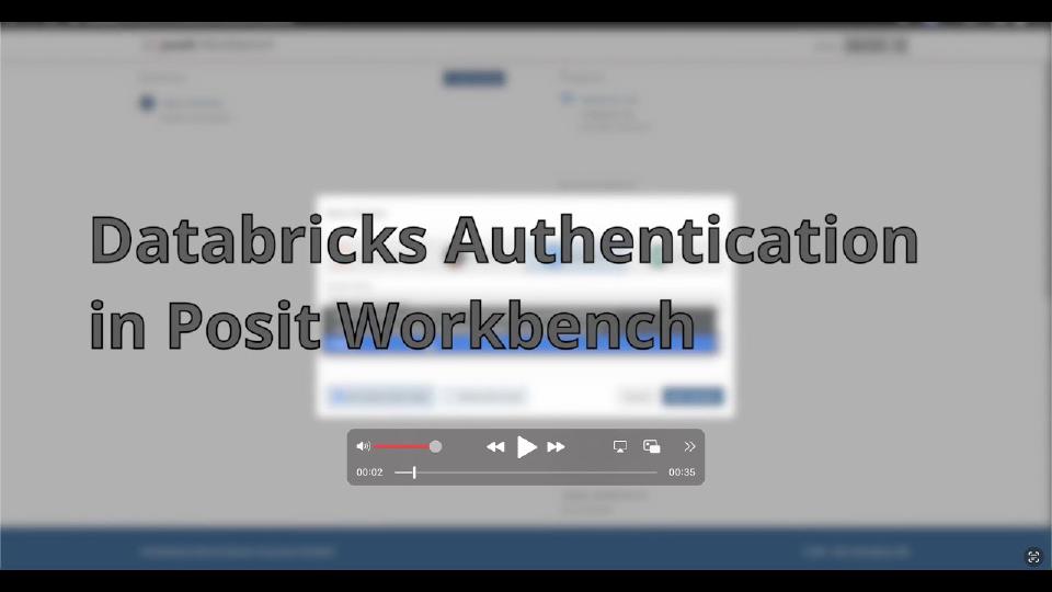 Databricks Authentication in Posit Workbench