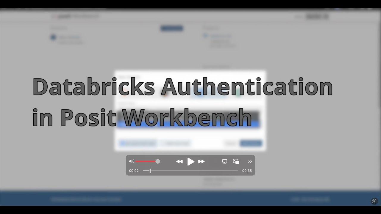 Databricks Authentication in Posit Workbench