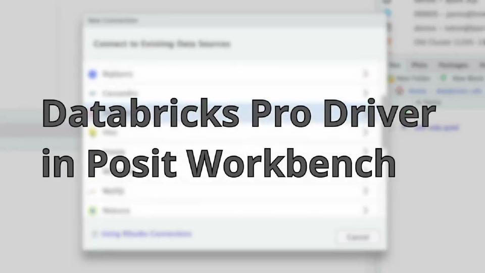 Databricks Pro Driver in Posit Workbench