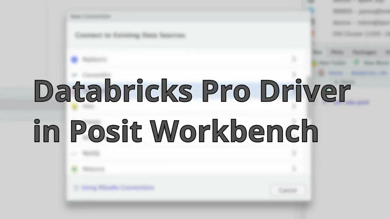 Databricks Pro Driver in Posit Workbench