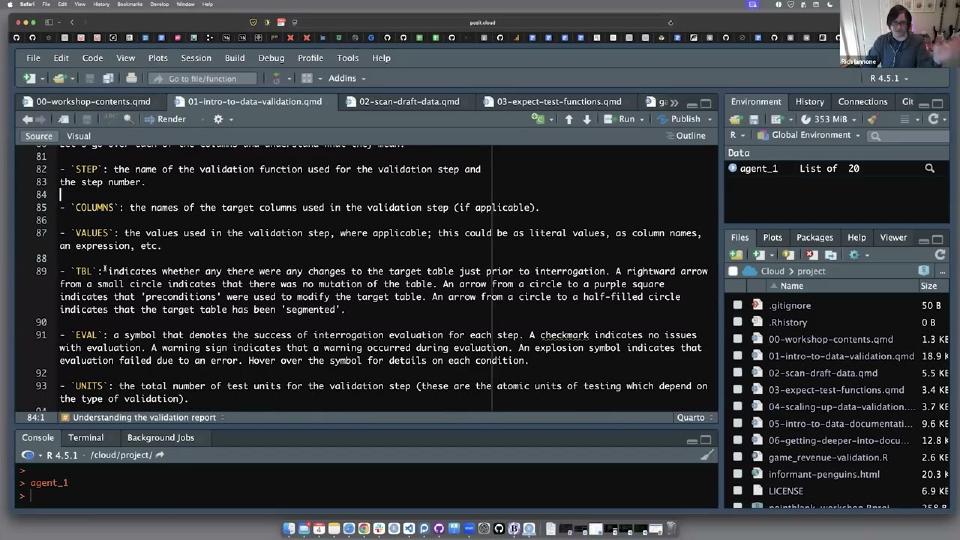 How to use {pointblank} to understand, validate, and document your data